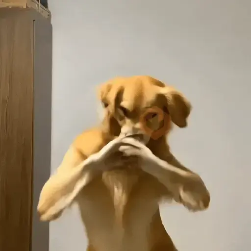 Doguinhos Tiktok sticker 14