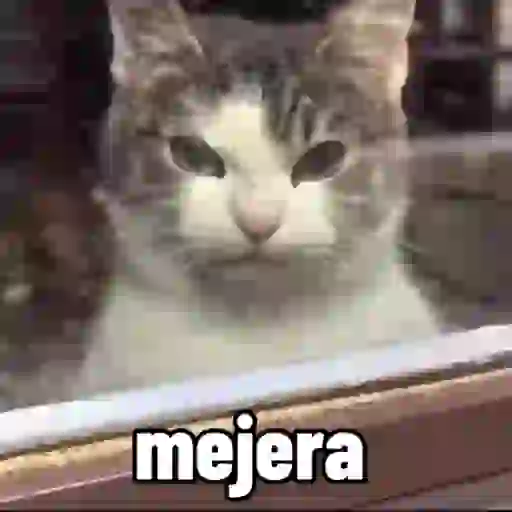 gatos sticker 14