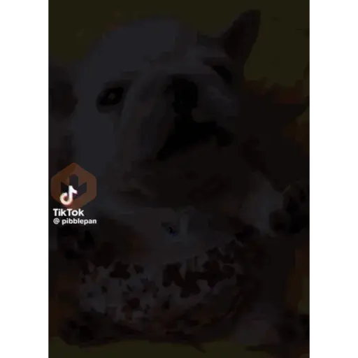 pibbles m&e sticker 20