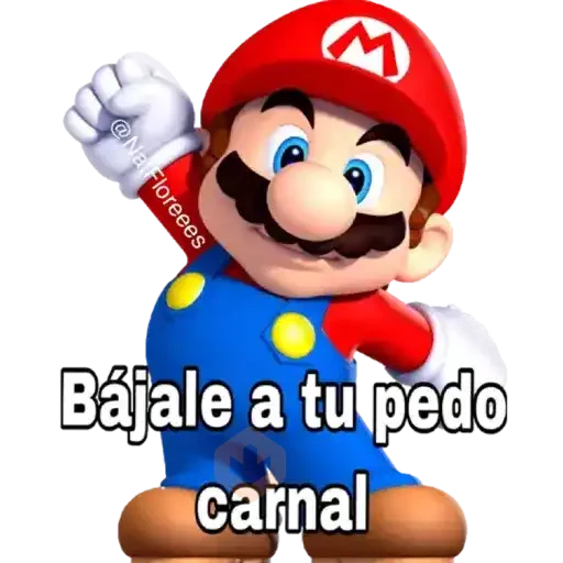 Mario Bros sticker 20