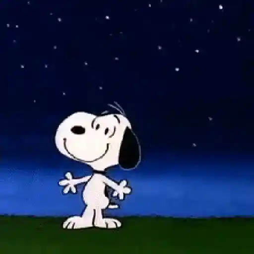 🐾🦴Snoopy 🐾🦴 sticker 14