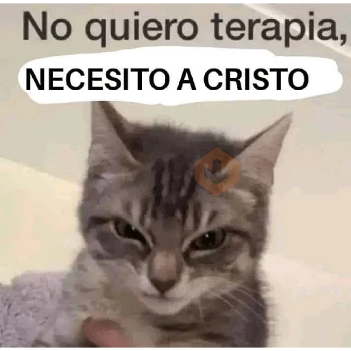 Memes cristianos 💒 sticker 14
