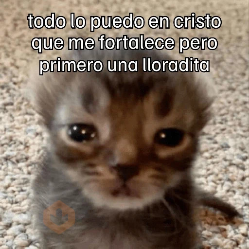 Memes cristianos 💒 sticker 12