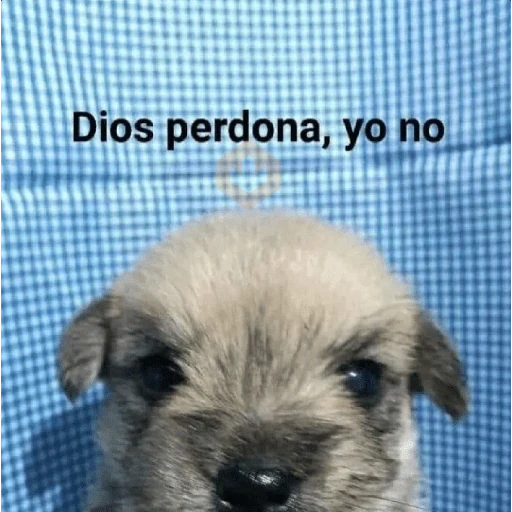 Memes cristianos 💒 sticker 13