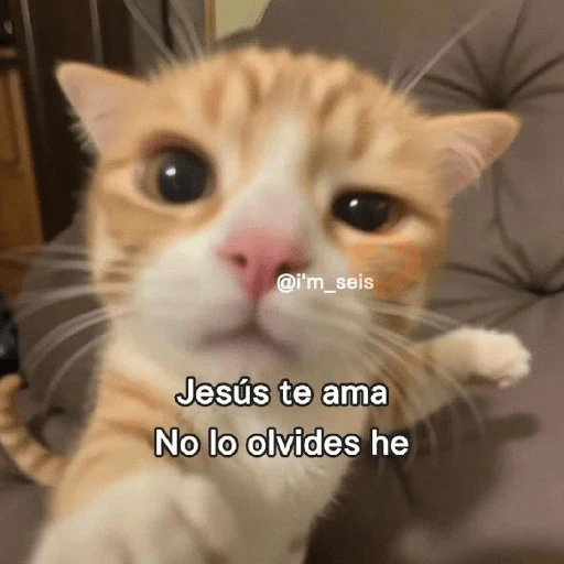 Memes cristianos 💒 sticker 11