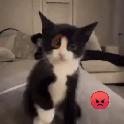 Gatos Molestos🤬 sticker 13