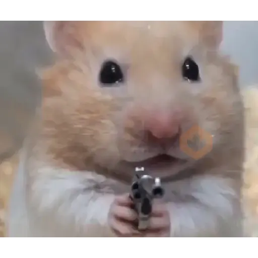 TikTok sticker 17