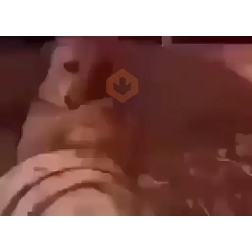 TikTok sticker 13
