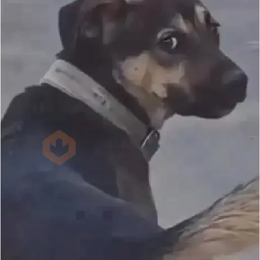TikTok sticker 22