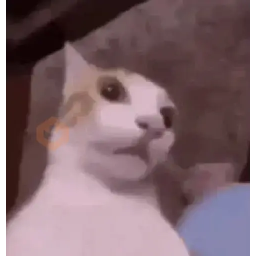 TikTok sticker 20