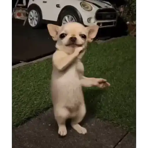 TikTok sticker 16
