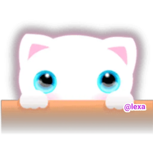 🌈😺White Kitty😺🌼 