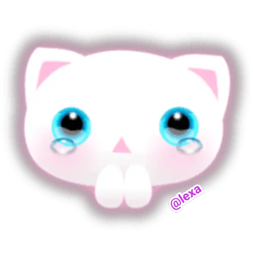 🌈😺White Kitty😺🌼 