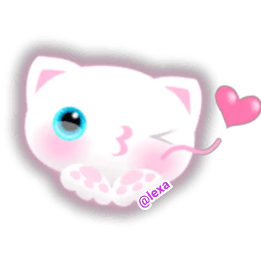 🌈😺White Kitty😺🌼 