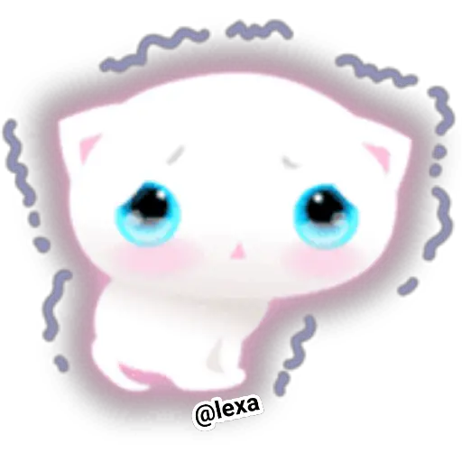 🌈😺White Kitty😺🌼 
