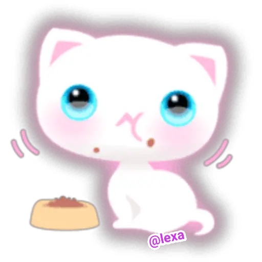 🌈😺White Kitty😺🌼 