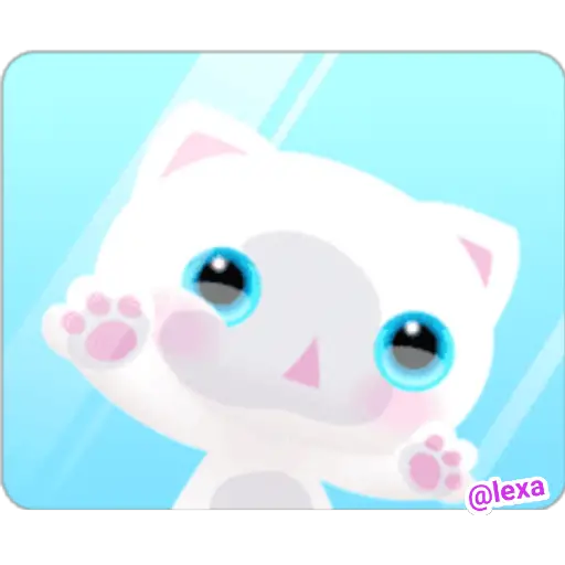 🌈😺White Kitty😺🌼 