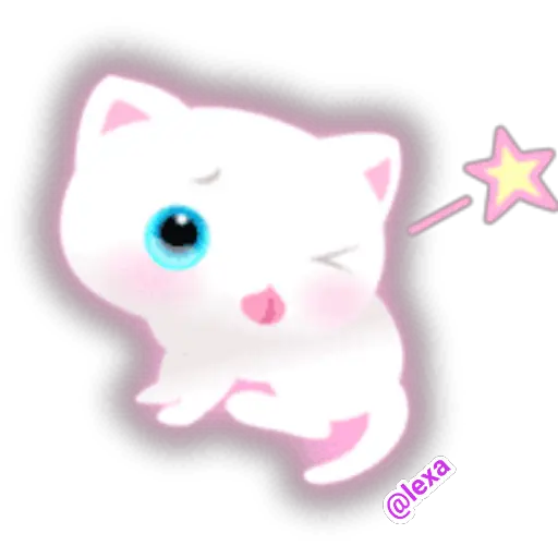 🌈😺White Kitty😺🌼 