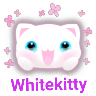 🌈😺White Kitty😺🌼 