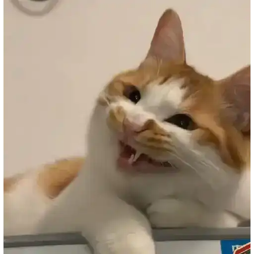 Animated Cats sticker 30