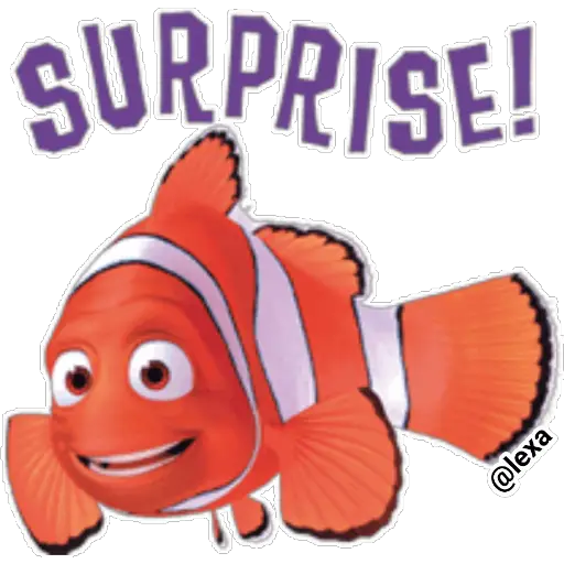 🌈Nemo🐟 