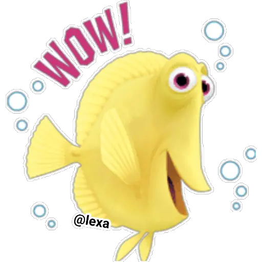 🌈Nemo🐟 