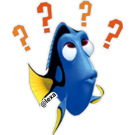 🌈Nemo🐟 