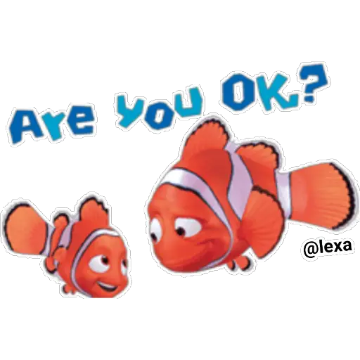 🌈Nemo🐟 
