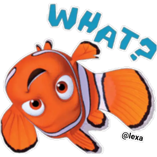 🌈Nemo🐟 
