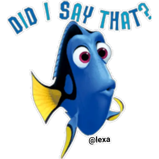 🌈Nemo🐟 