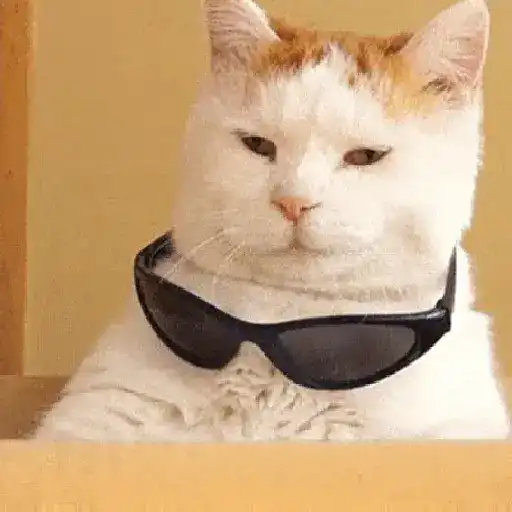 Cats Animated sticker 16