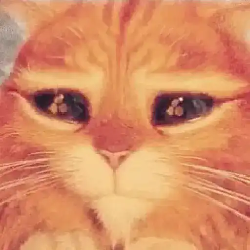 Cats Animated sticker 15