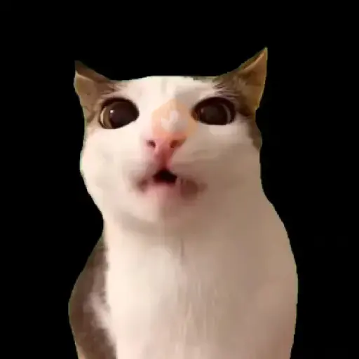 Gatos xd sticker 13