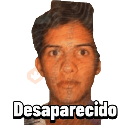 Gatos sticker 24