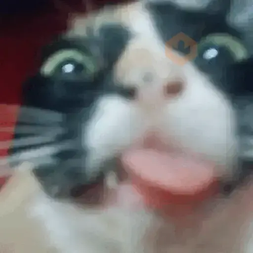 GATOS RANDOM - PARTE 90 sticker 15