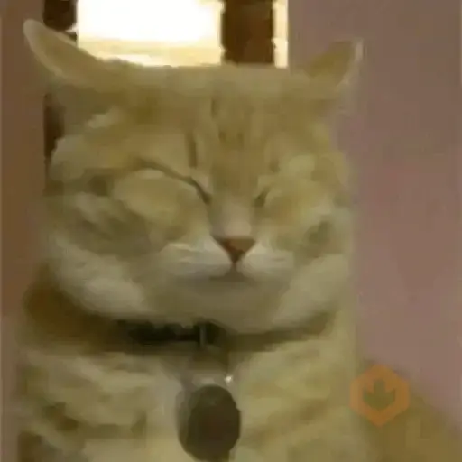 GATOS RANDOM - PARTE 90 sticker 21
