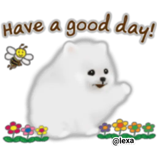🌼WHITE baby DOG🐶 