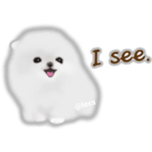 🌼WHITE baby DOG🐶 