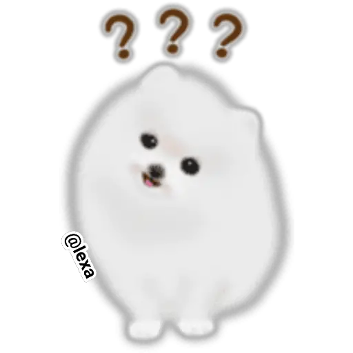 🌼WHITE baby DOG🐶 