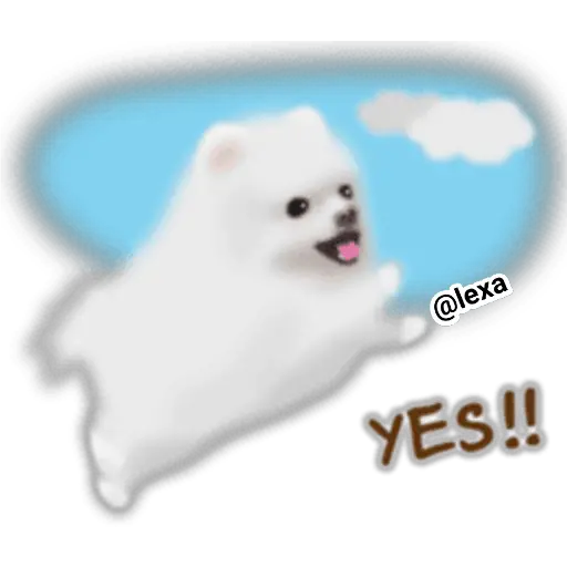 🌼WHITE baby DOG🐶 