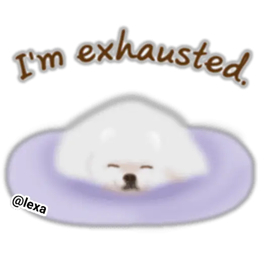 🌼WHITE baby DOG🐶 