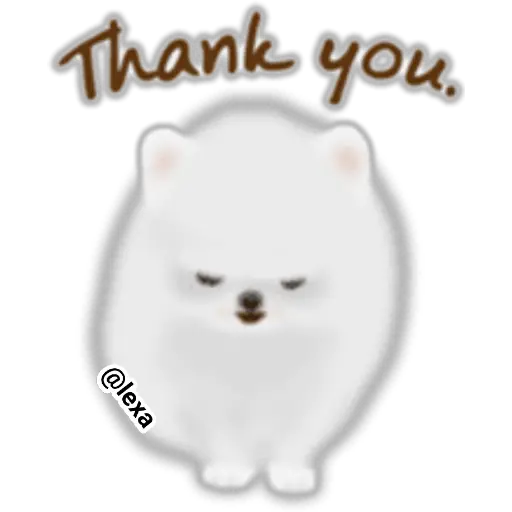 🌼WHITE baby DOG🐶  preview
