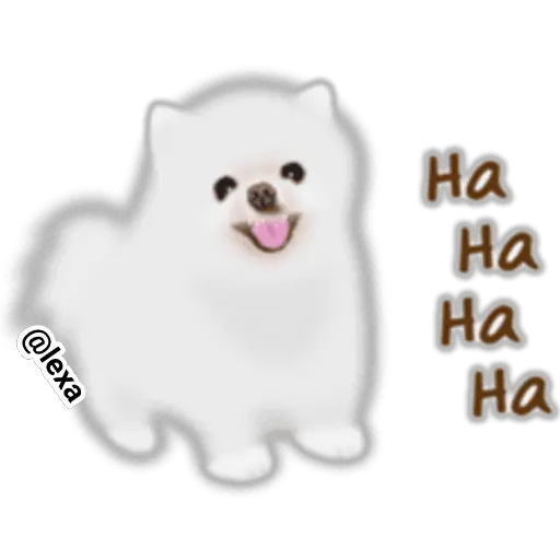 🌼WHITE baby DOG🐶  preview
