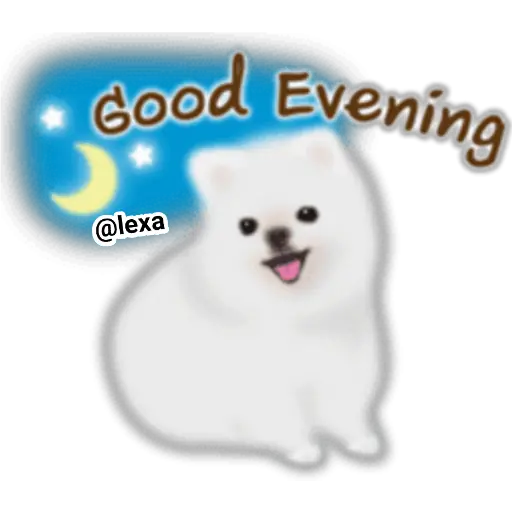 🌼WHITE baby DOG🐶 