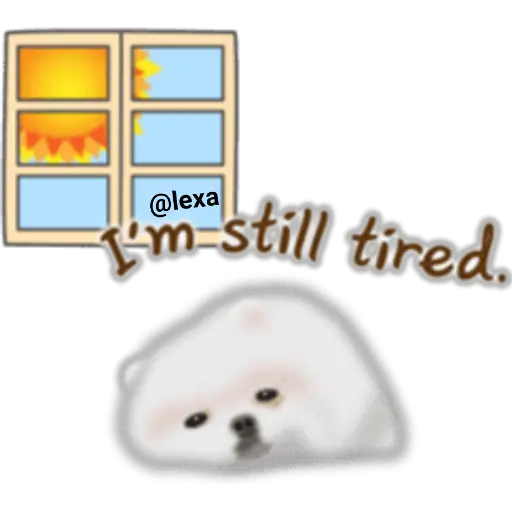 🌼WHITE baby DOG🐶 
