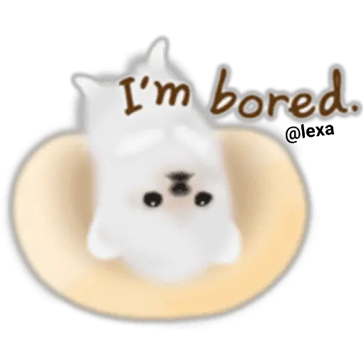 🌼WHITE baby DOG🐶  preview