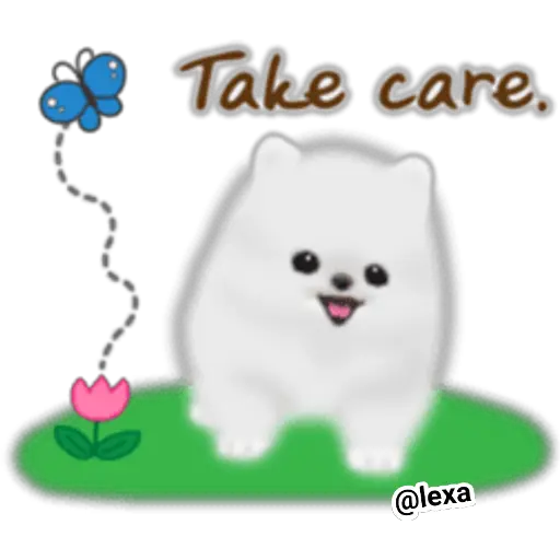 🌼WHITE baby DOG🐶 