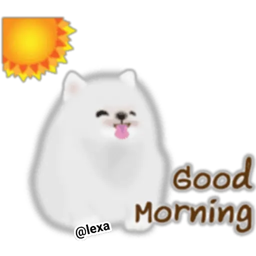 🌼WHITE baby DOG🐶 