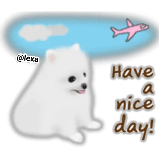 🌼WHITE baby DOG🐶 