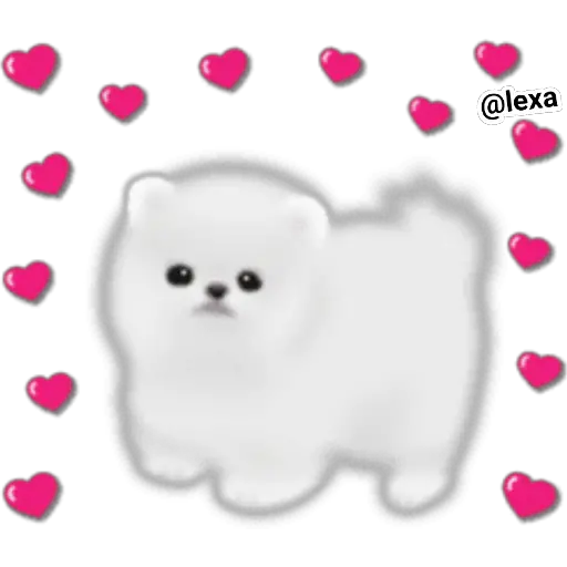 🌼WHITE baby DOG🐶 